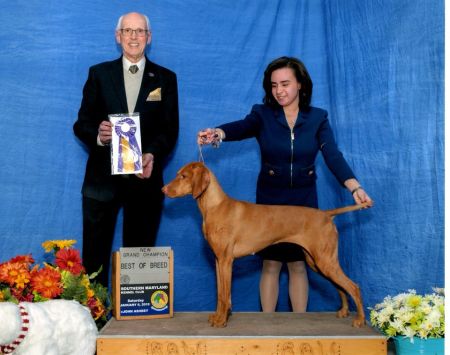 Image of Berkcor's Juicy Little Secret