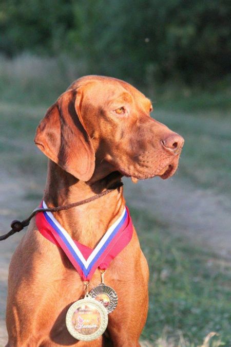 Image of Bilan of Skyrocket