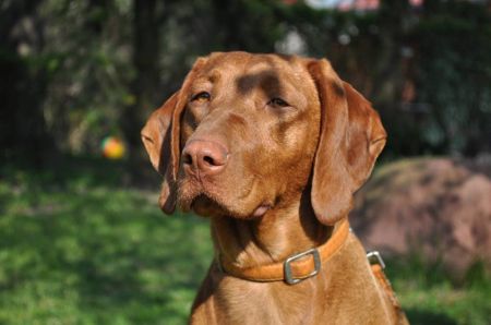 Image of Kenya Dolina Mirage