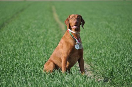 Image of Kenya Dolina Mirage