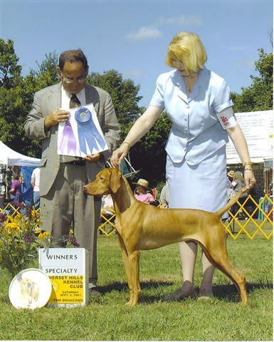 Image of Scarlett Suns Solebury Penny