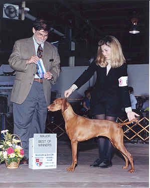 Image of Copper Creek Imaginerin