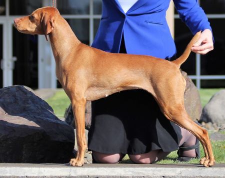 Image of Sokoldalu's Sunkissed Eyecandy By Tierah