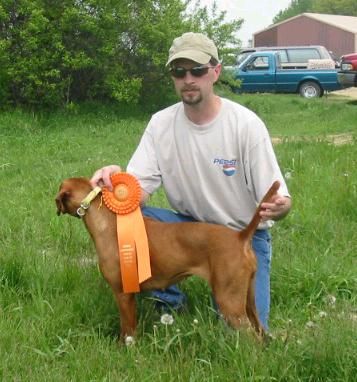 Image of Kick 'Em Up Tess