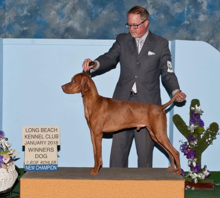 Image of Serenity's Ladies Love Cool Jack