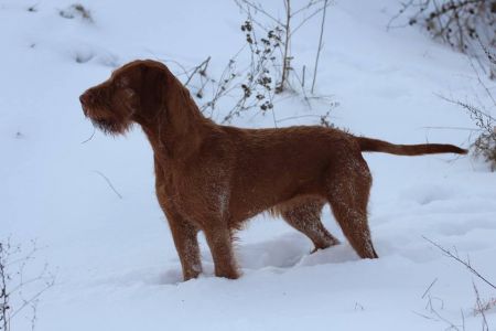 Image of Alkony von Haus Schladern