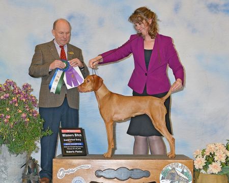 Image of Sokoldalu's Proud Sponsor of the Olympic Games