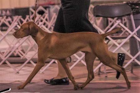 Image of Trublu You Have The Right