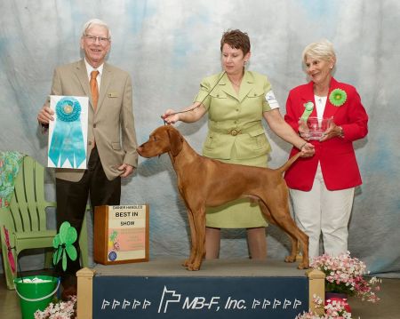 Image of Firelight Citius Altius Fortius at Trublu