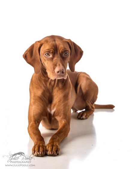 Image of Dp's Orult Raketa Kozett