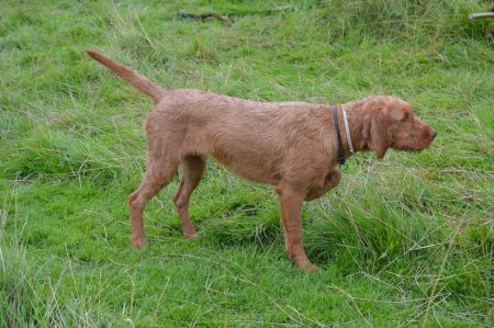 Image of Zöldmáli Etna