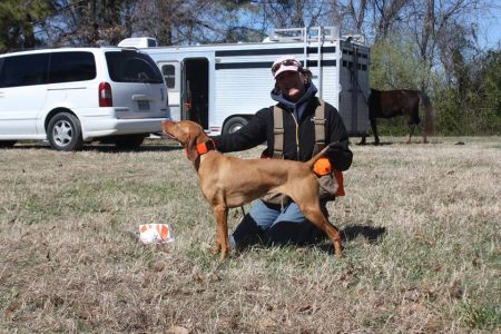 Image of Dobrocat's Cg Bryn