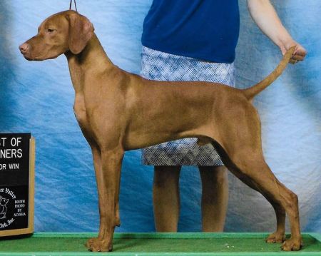 Image of Jnek's Dare To Dream