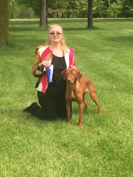 Image of Jnek's Dare To Dream