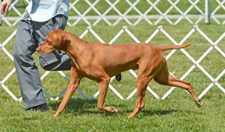 Image of Fawa-Wr Everwhen Buzz's Moon Mission