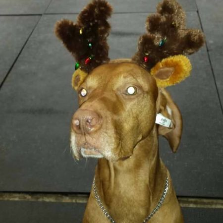 Image of Fawa-Wr Everwhen Buzz's Moon Mission