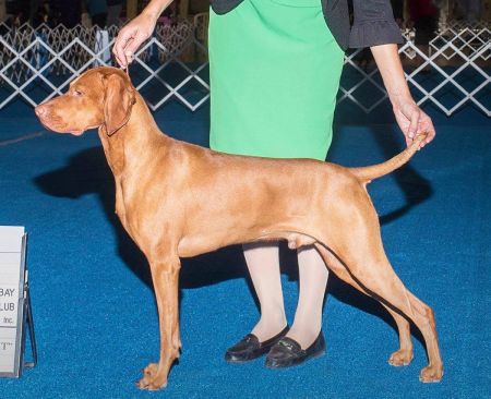 Image of Zenith N Moonlight All Eyes On Me