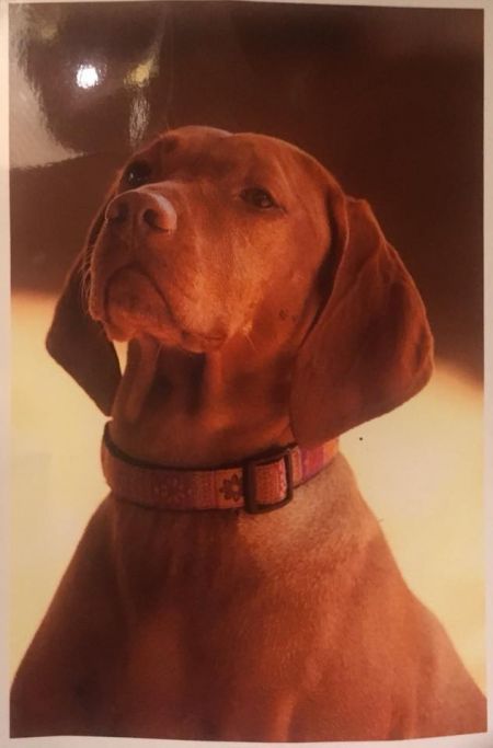 Image of Walter's Ride Around Sally