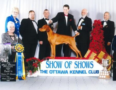 Image of Akar Malek By Faithful Miro