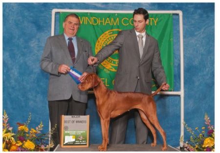 Image of Akar Jaka With Faithful Miro