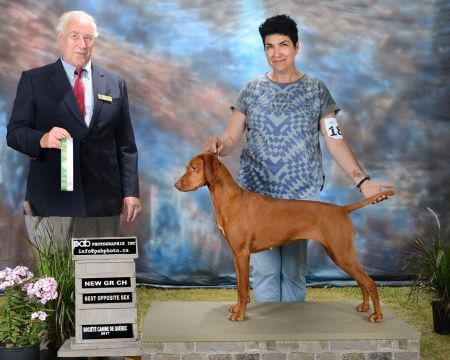 Image of Lekka Ely By Faithful Miro