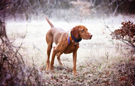 Image of Zydeco's First You Make A Roux