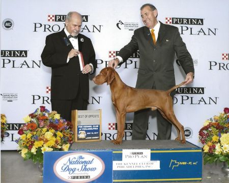 Image of Linmar N Brazenrock Brock N' Roll