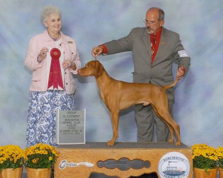 Image of Hilldale Blu Raisnarukus Riley