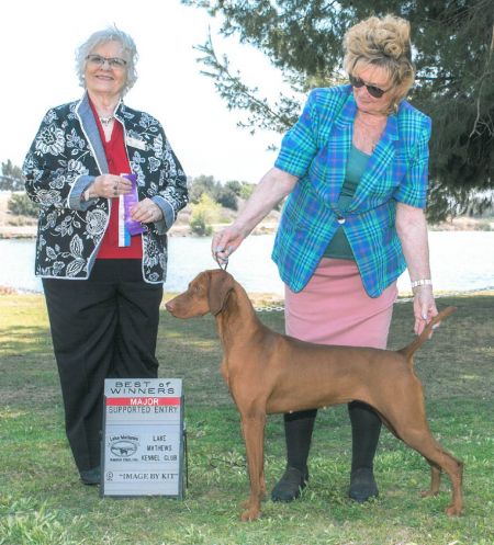 Image of Russet Leather Apache Anne