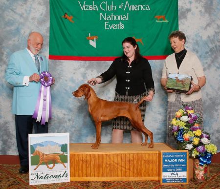 Image of Tradewind's Ida Queen Bee