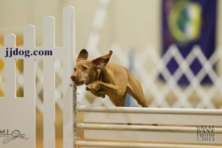 Image of Jnek's Royal Legacy