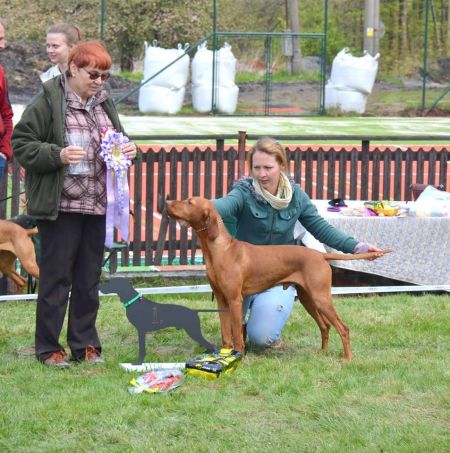 Image of Eric C. Vives Bohemia