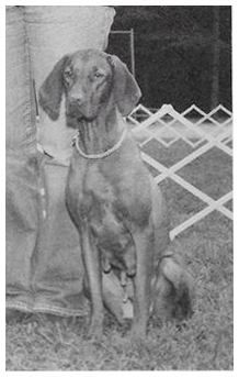 Image of Arpad's Lady Rebecca