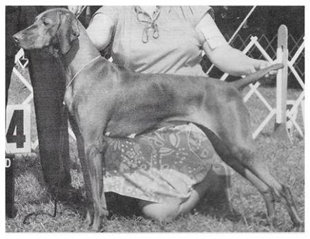 Image of Barben's New Year's Champagne