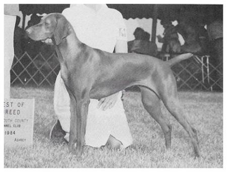 Image of Brylynn's Viking Valkyrie