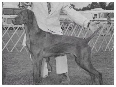 Image of Fawnridge Pepper's Hiouchi