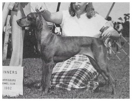 Image of Glen's Classical Rhythm