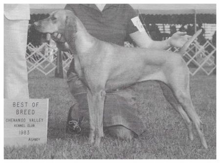 Image of Hollandia's Wind-Rush Gypsy