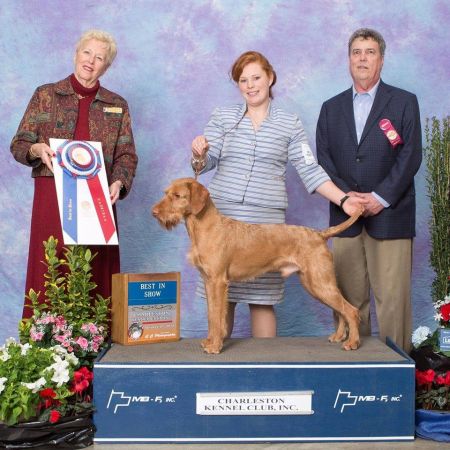 Image of Vizcaya's Vizland Cherokee Asagi