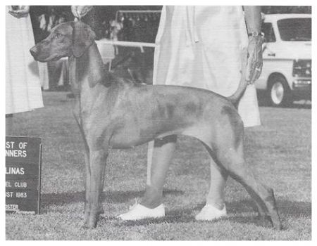 Image of Piroska Sisza Crackerjack