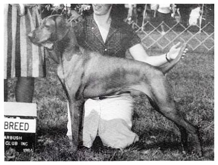 Image of Zolten's Ohio State Buckeye