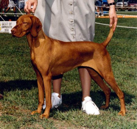 Image of Topaz's Hearts Afire