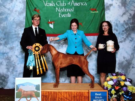 Image of Firelight's Carrying The Torch