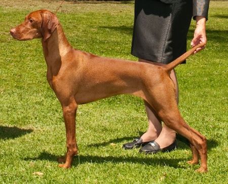 Image of Moonlight It's Good To Be Me