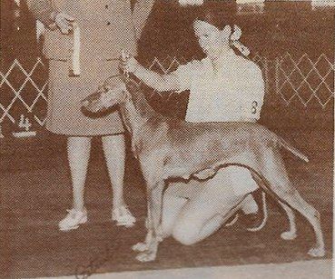 Image of Phoenician Princess