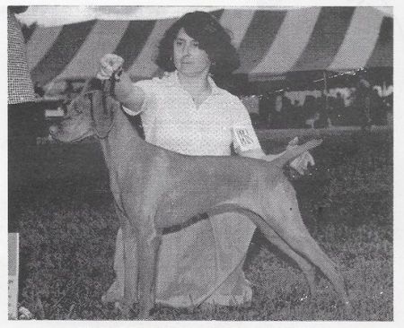 Image of Cinnabar's Kahalie's Comet