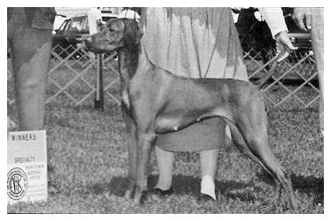 Image of Red Wing's Agigail Edes