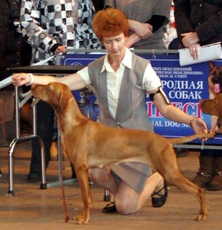 Image of Aranyvadasz Malna