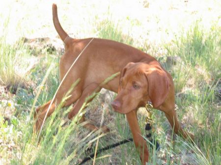 Image of Drycreek's Seein Is Believin