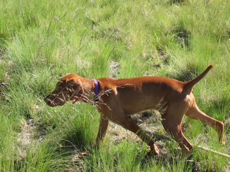 Image of Drycreek's Seein Is Believin